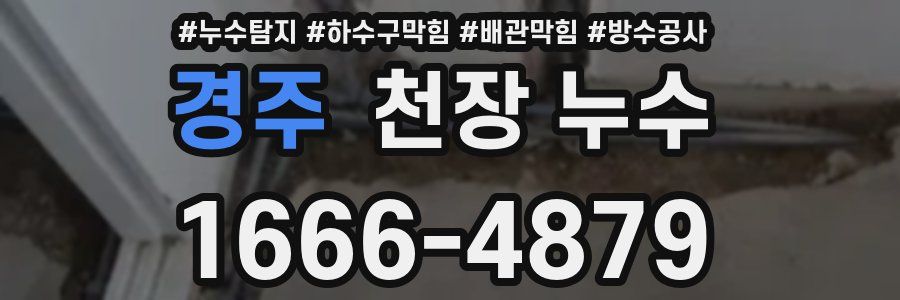 경주 천장 누수