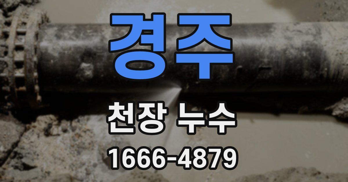 경주 천장 누수