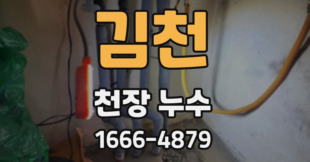 김천 천장 누수