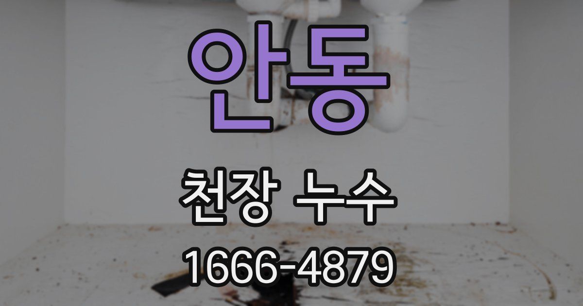 안동 천장 누수