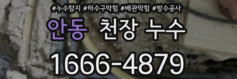안동 천장 누수