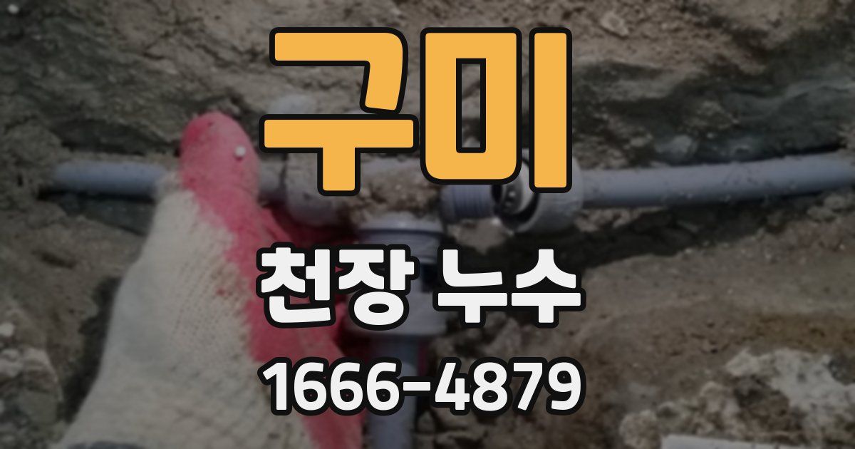 구미 천장 누수