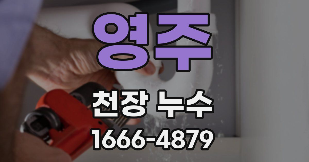 영주 천장 누수