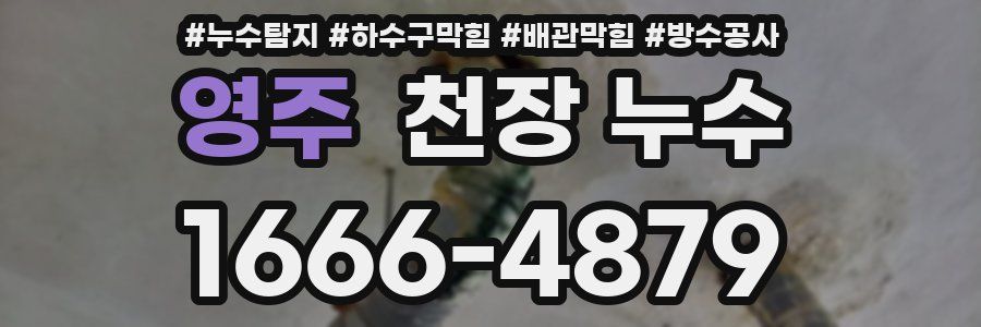 영주 천장 누수