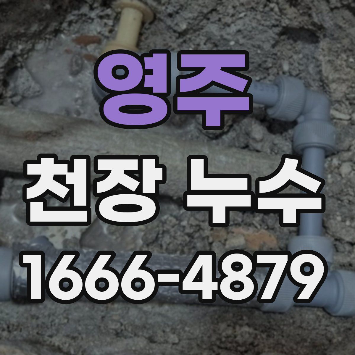 영주 천장 누수