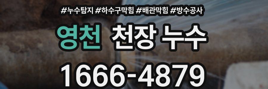 영천 천장 누수