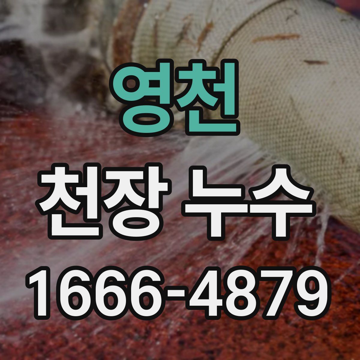 영천 천장 누수