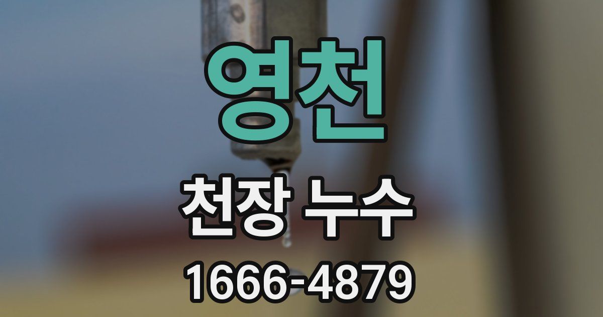 영천 천장 누수