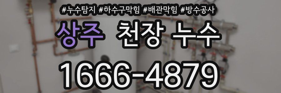 상주 천장 누수