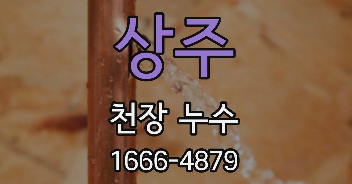 상주 천장 누수