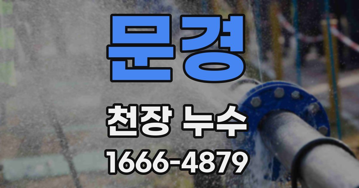 문경 천장 누수