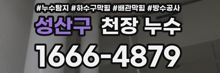 성산구 천장 누수