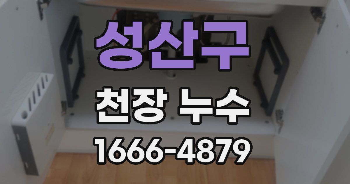 성산구 천장 누수