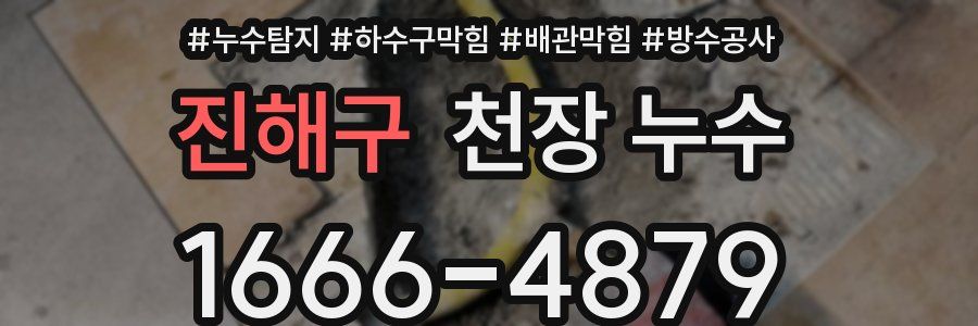 진해구 천장 누수