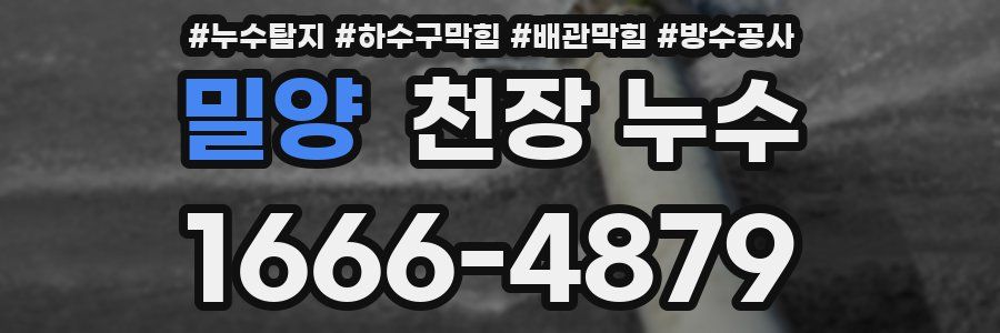 밀양 천장 누수