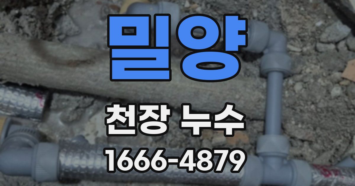 밀양 천장 누수