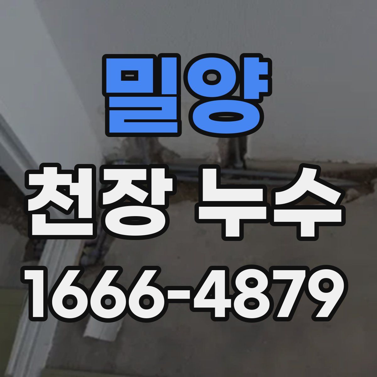 밀양 천장 누수