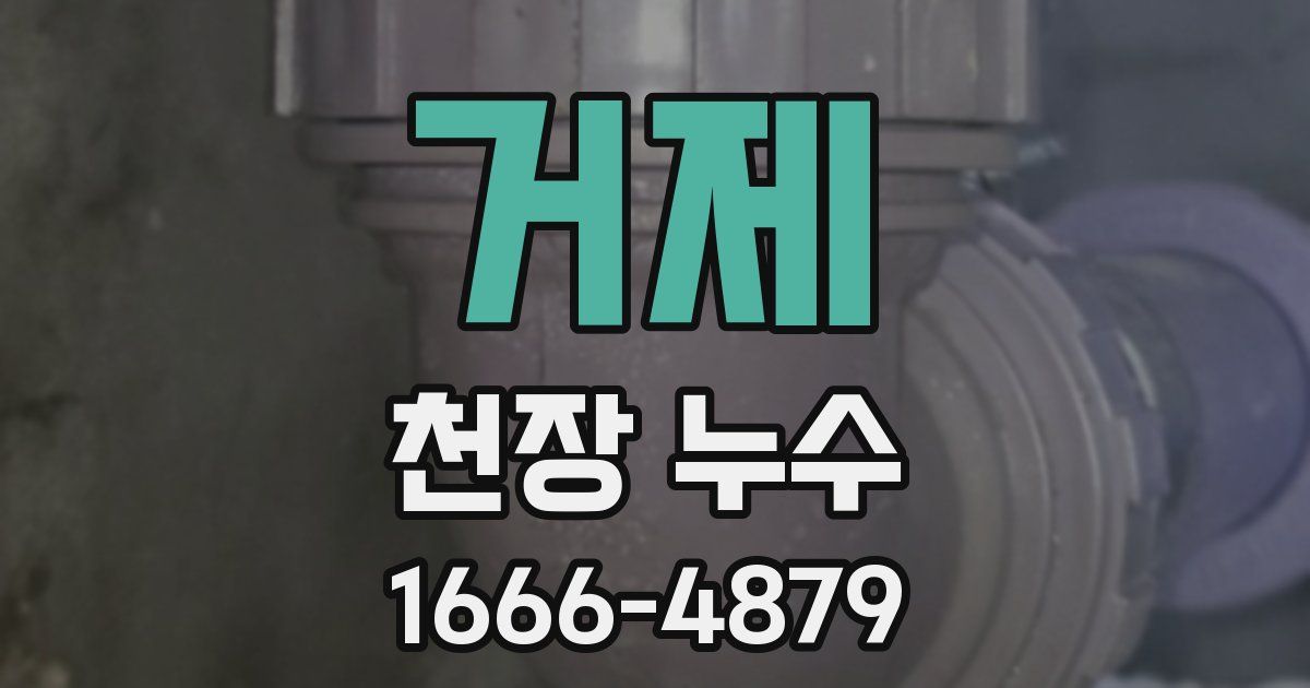 거제 천장 누수