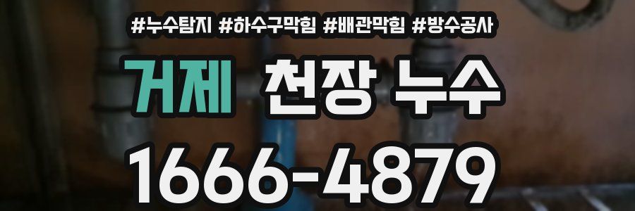 거제 천장 누수
