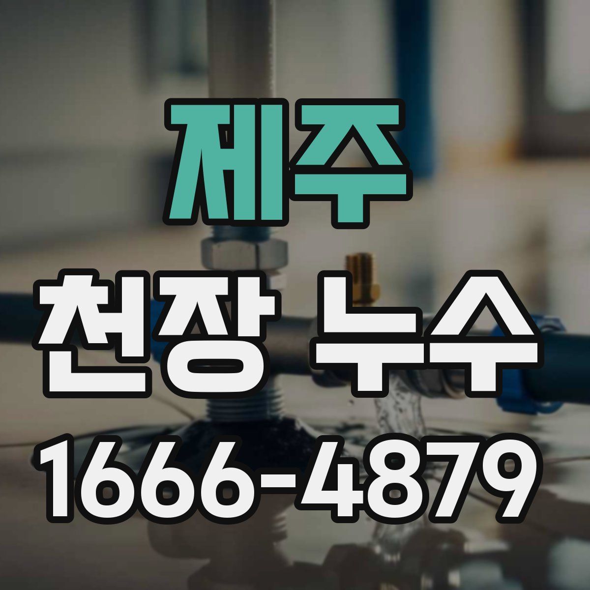 제주 천장 누수