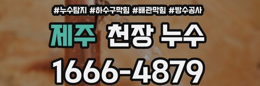 제주 천장 누수