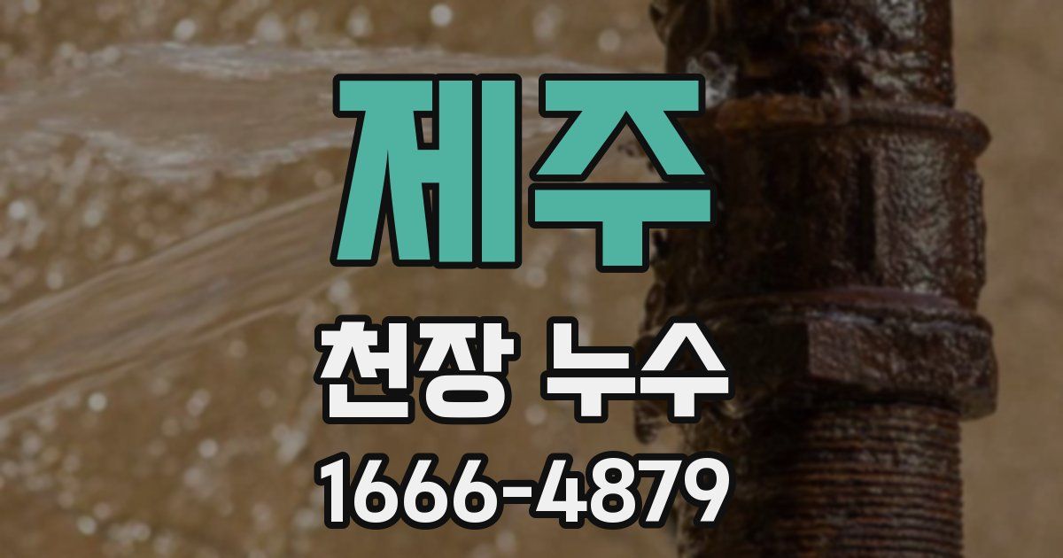제주 천장 누수