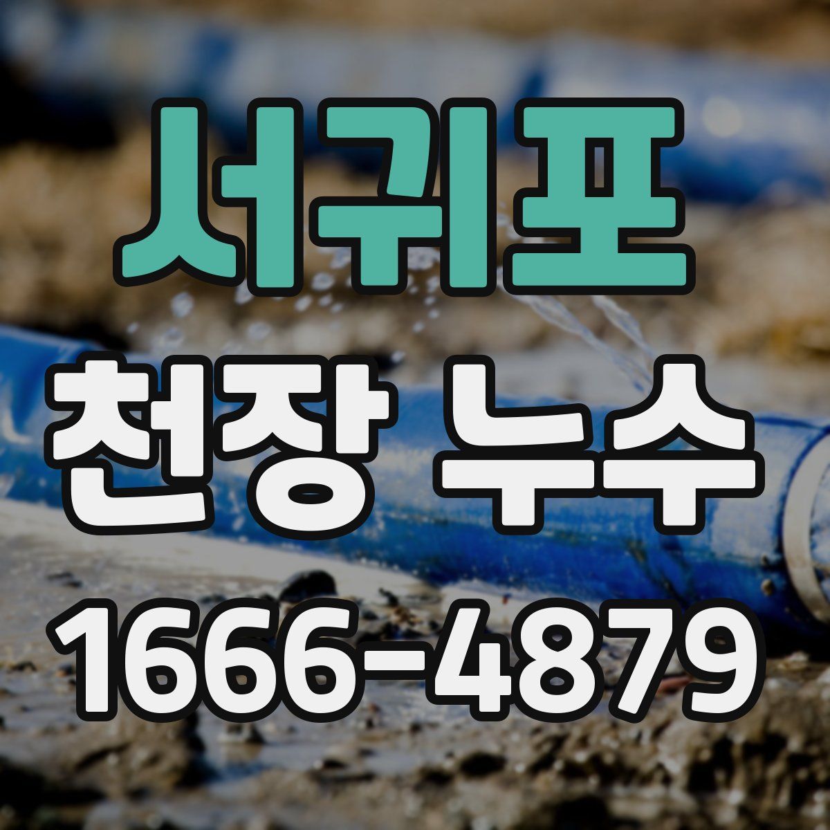 서귀포 천장 누수