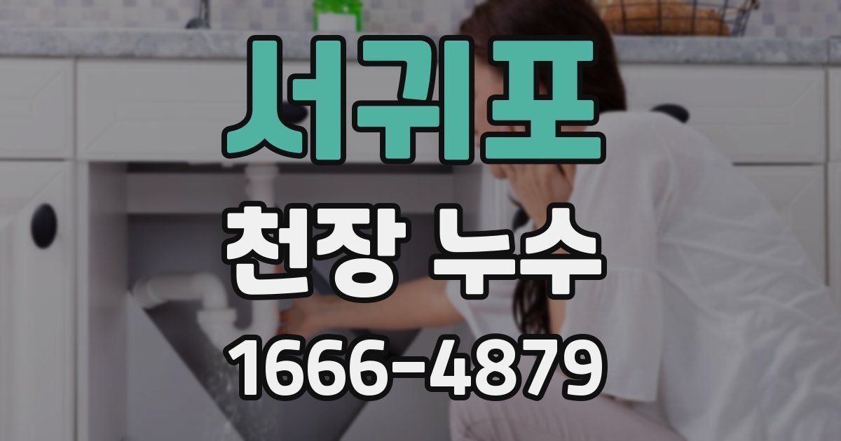 서귀포 천장 누수