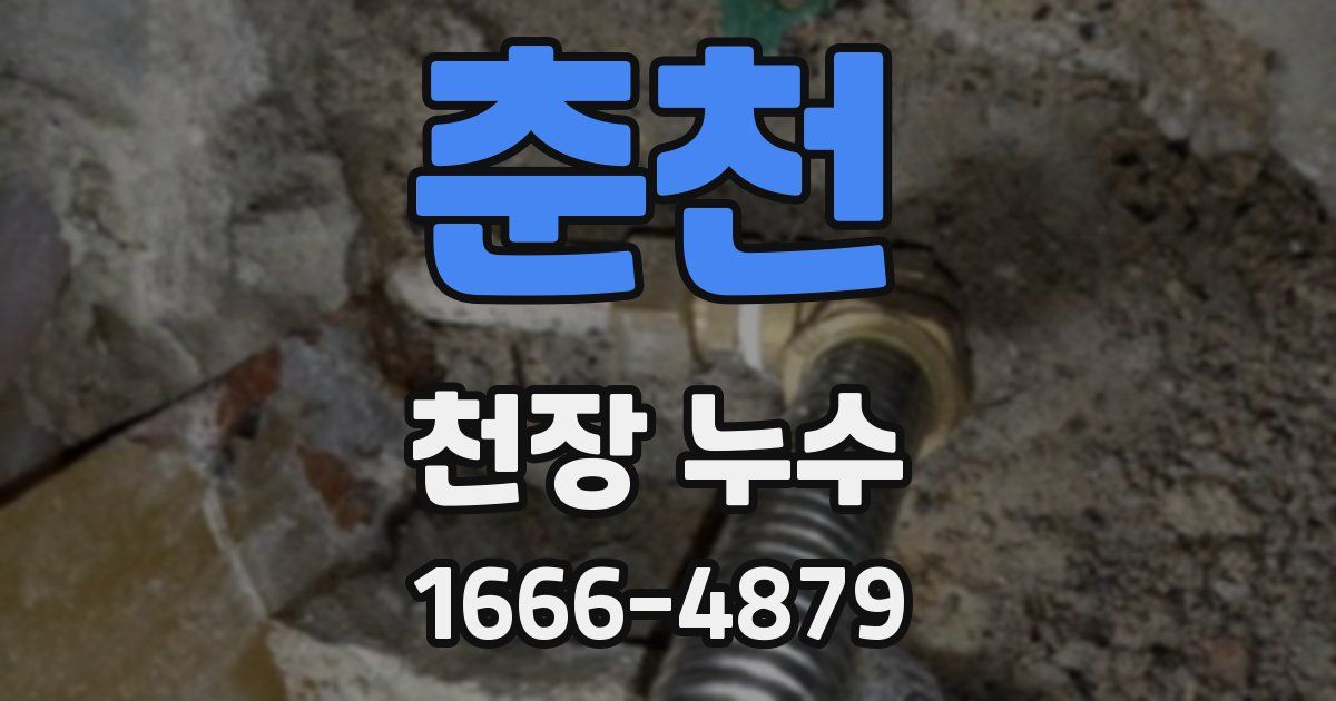 춘천 천장 누수
