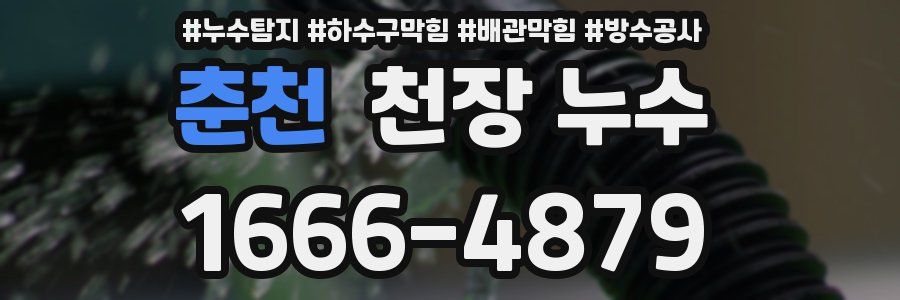 춘천 천장 누수