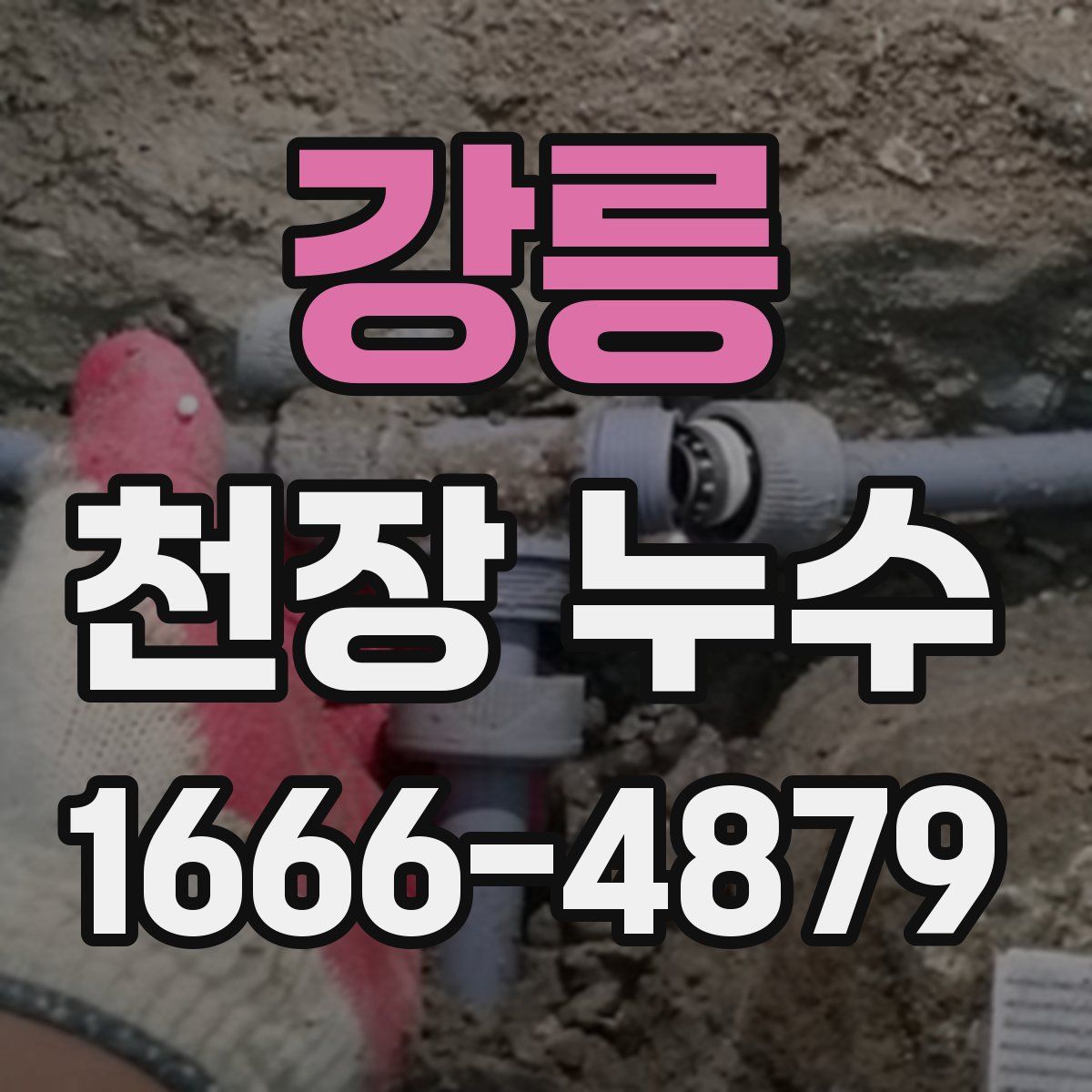 강릉 천장 누수