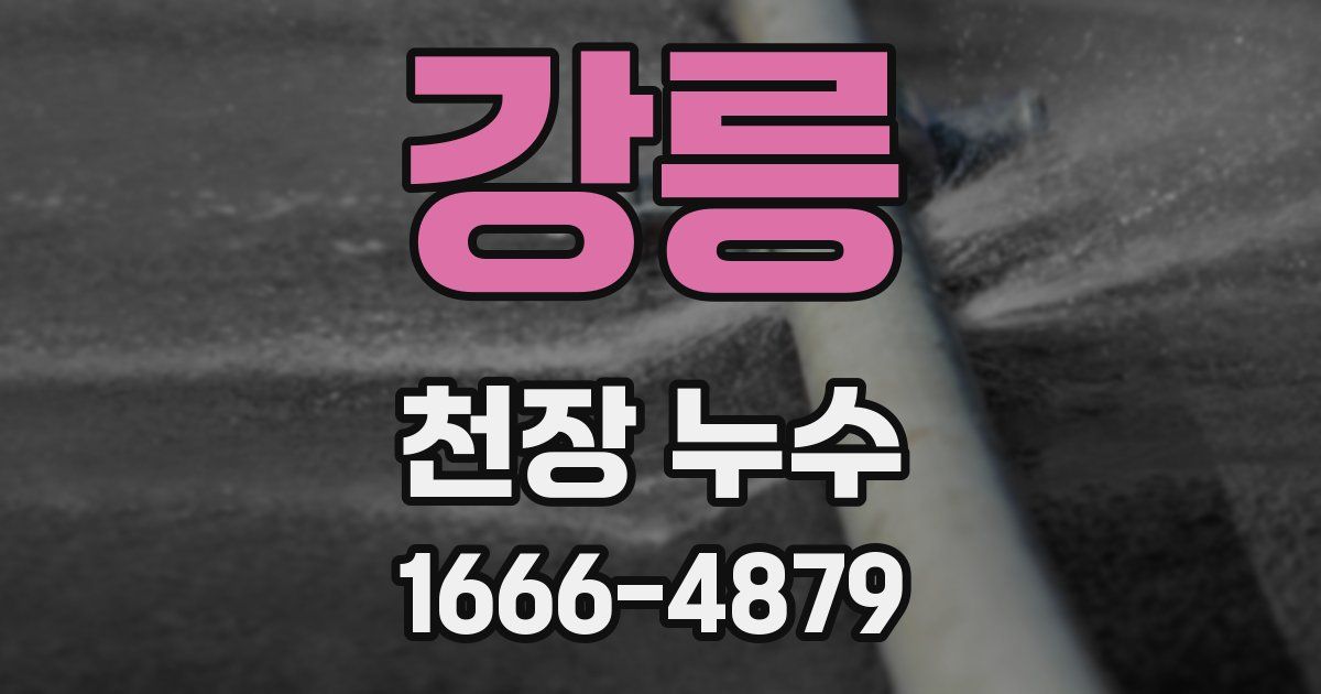 강릉 천장 누수