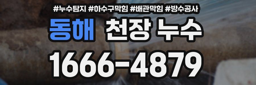 동해 천장 누수
