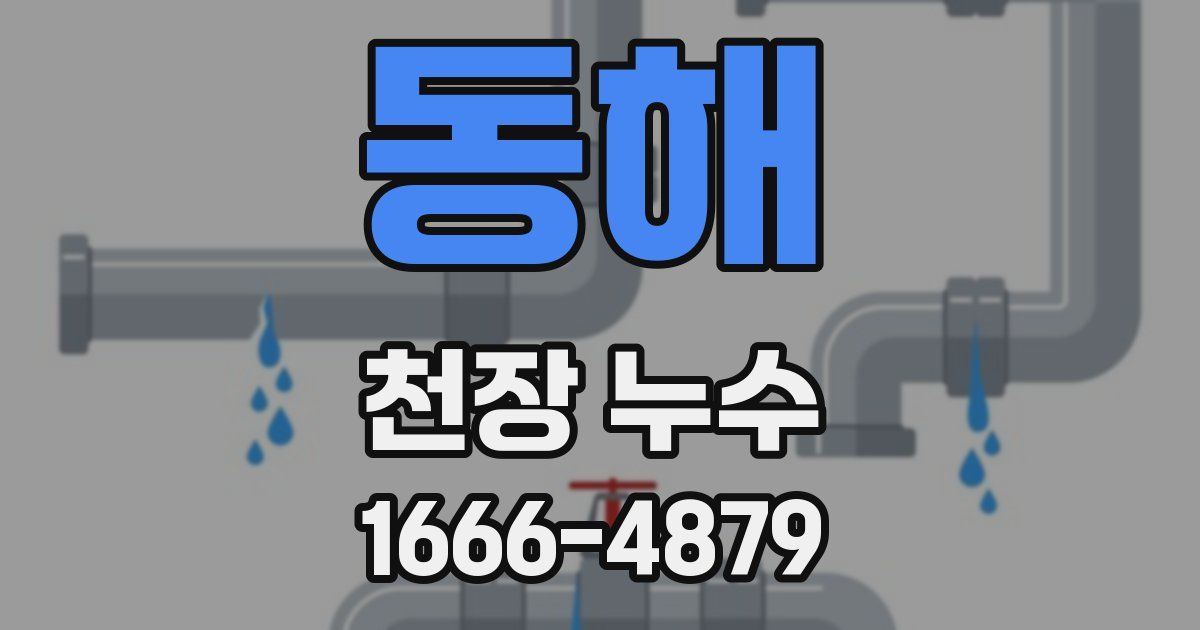 동해 천장 누수