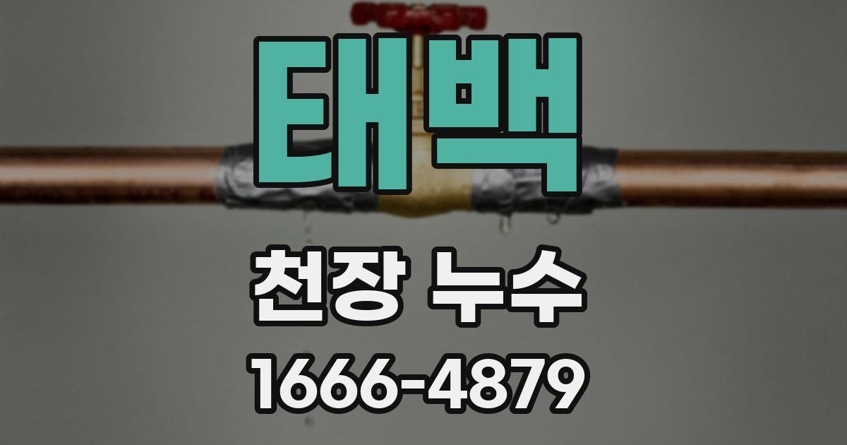 태백 천장 누수