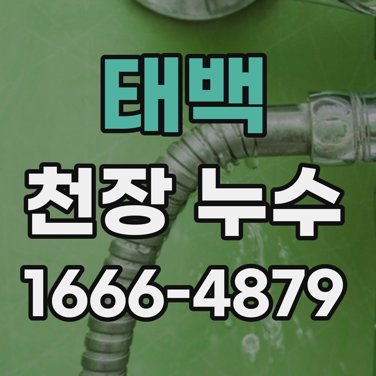 태백 천장 누수