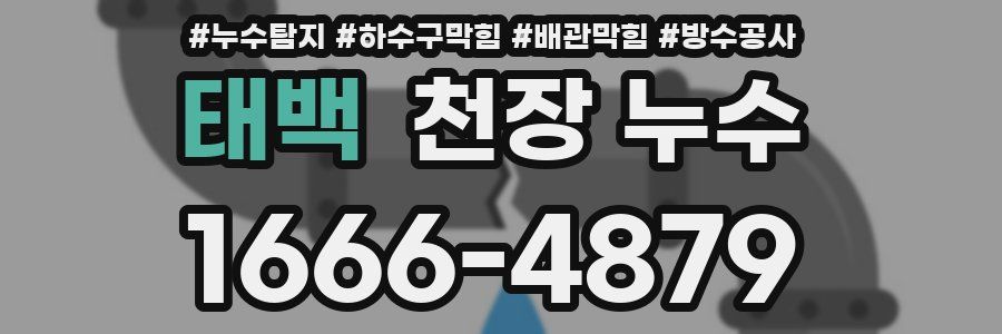 태백 천장 누수
