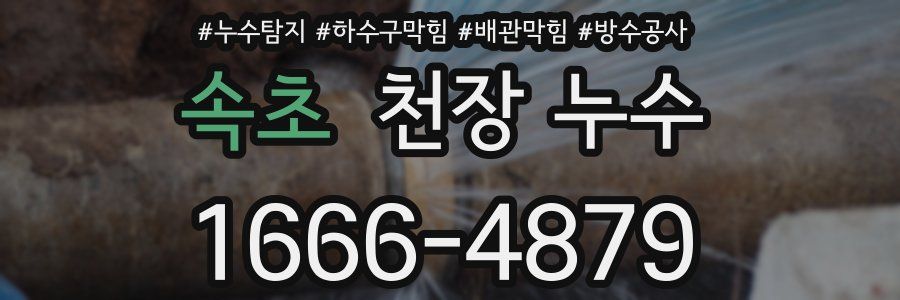 속초 천장 누수