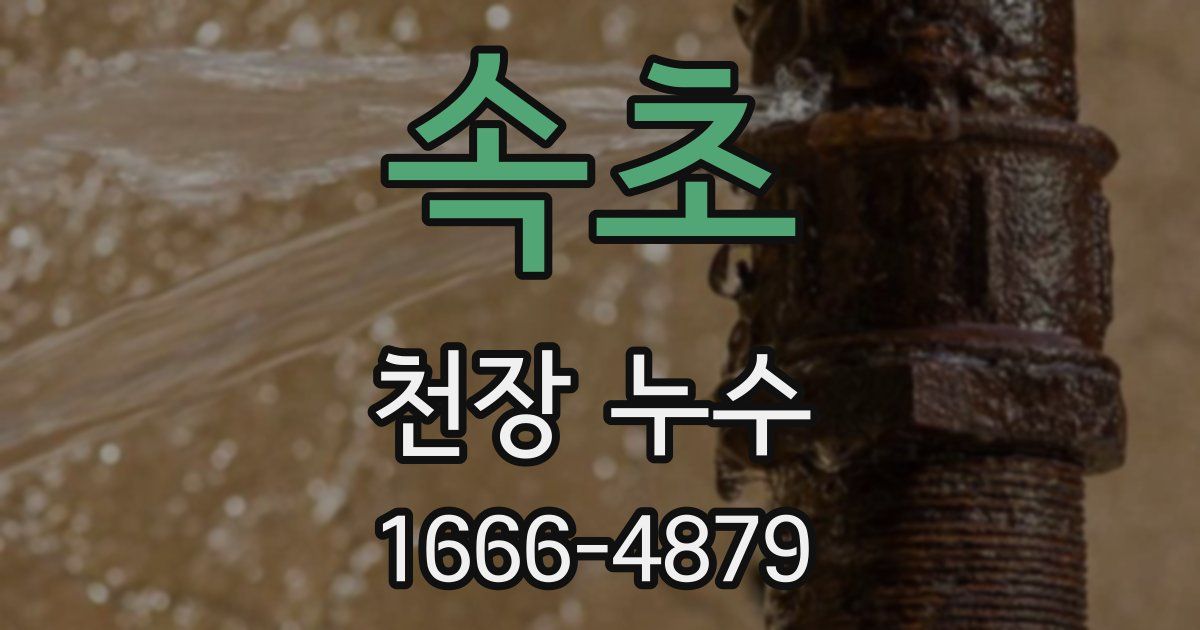 속초 천장 누수