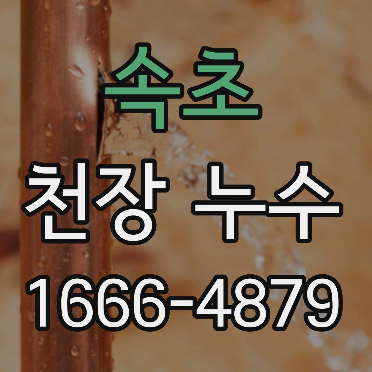 속초 천장 누수