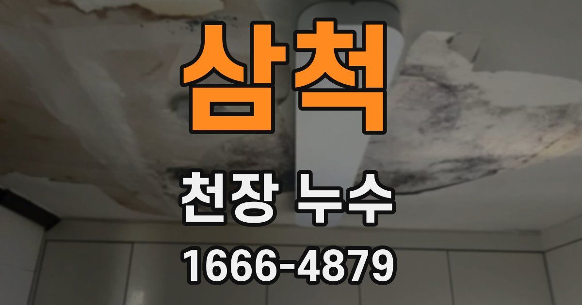 삼척 천장 누수