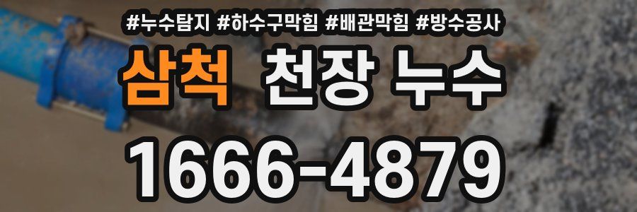 삼척 천장 누수