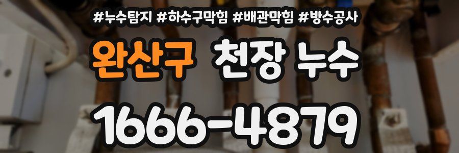 완산구 천장 누수