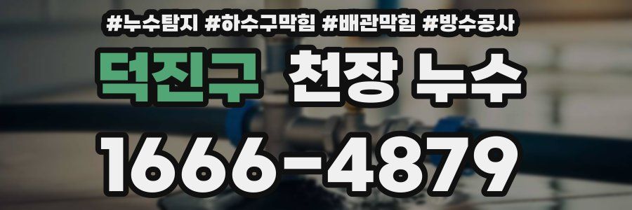 덕진구 천장 누수