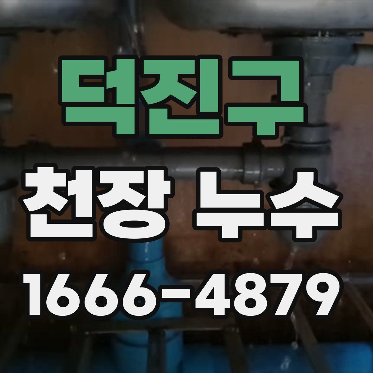 덕진구 천장 누수