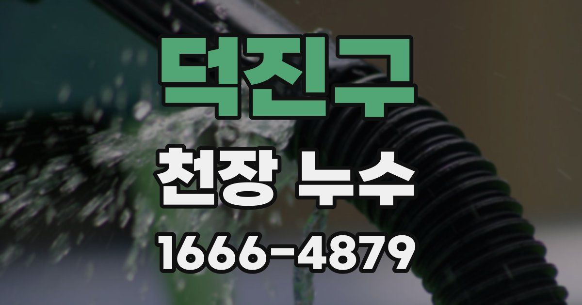 덕진구 천장 누수