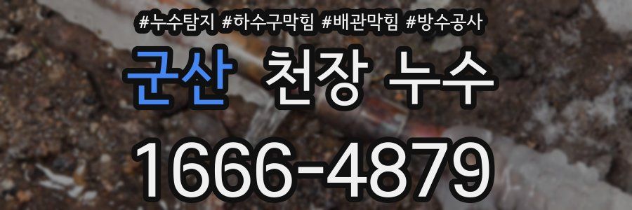 군산 천장 누수