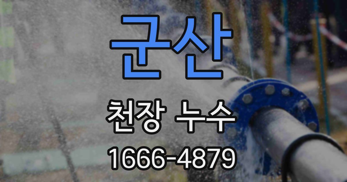 군산 천장 누수