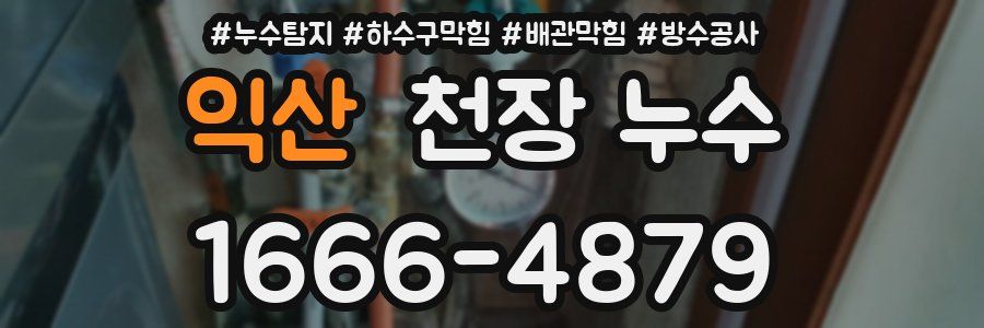 익산 천장 누수