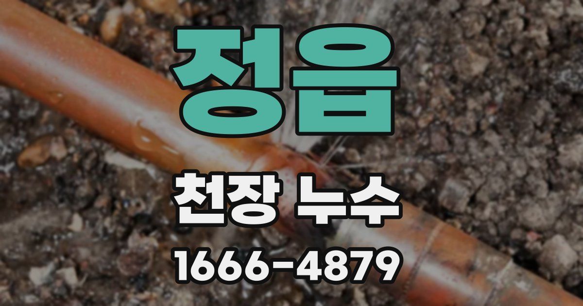 정읍 천장 누수